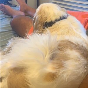 Meet your Posher, Kristin